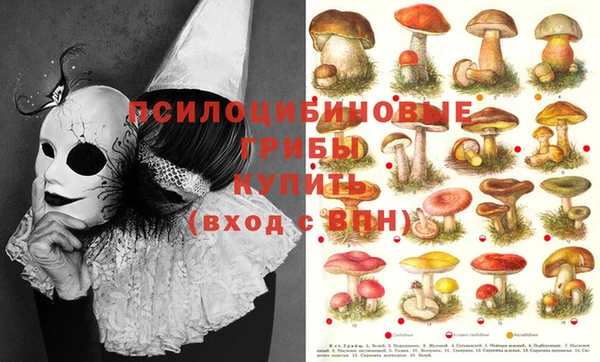 марки nbome Магадан
