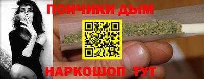 индика Гатчина