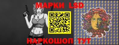 индика Гатчина