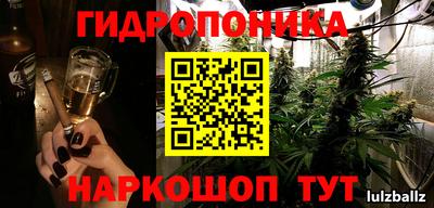 кокс Гай