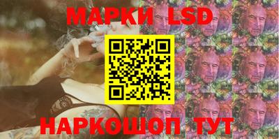 индика Гатчина