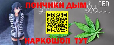 индика Гатчина