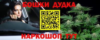 индика Гатчина