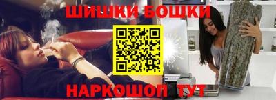 индика Гатчина