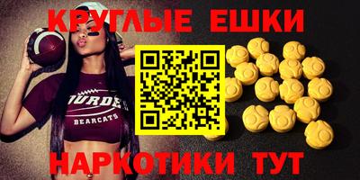индика Гатчина
