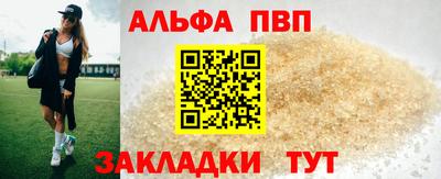 индика Гатчина