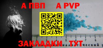 индика Гатчина
