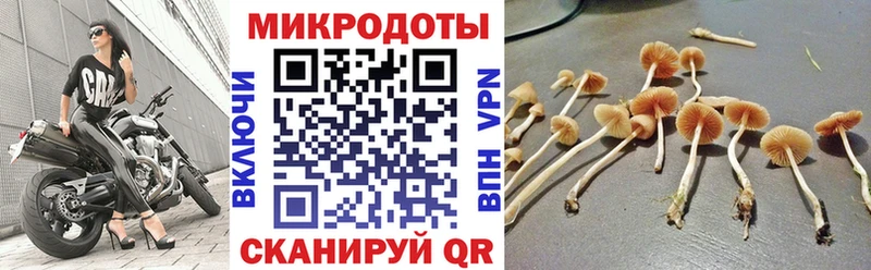 Псилоцибиновые грибы мухоморы  Златоуст 