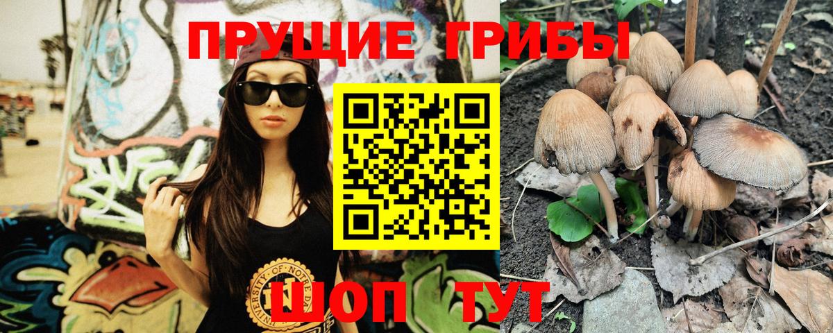 купить наркотики сайты  Вход с VPN  Златоуст  Галлюциногенные грибы мухоморы 